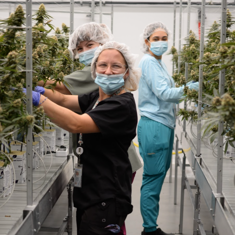 1-Dec-06-2023-11-47-24-9564-PM