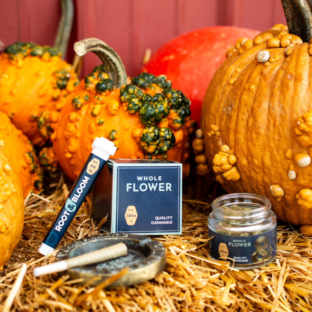 3-Dec-06-2023-11-48-23-1365-PM